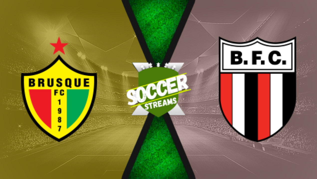 Watch Brusque x Botafogo-SP live HD 06/11/2024